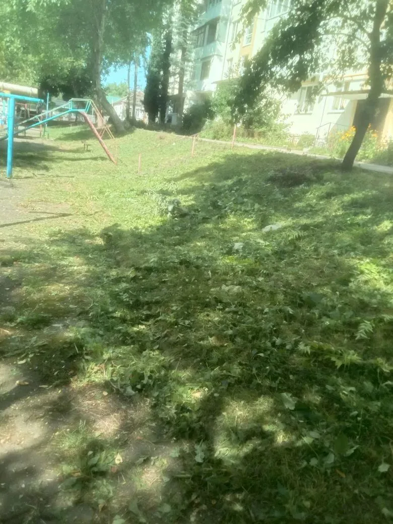 Уважаемые жители МКД №140  и 142 по ул Седлогорская   в ваших  дворах произвели покос т...