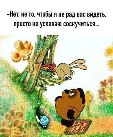 🍯 14 октября- День рождения Винни-Пуха