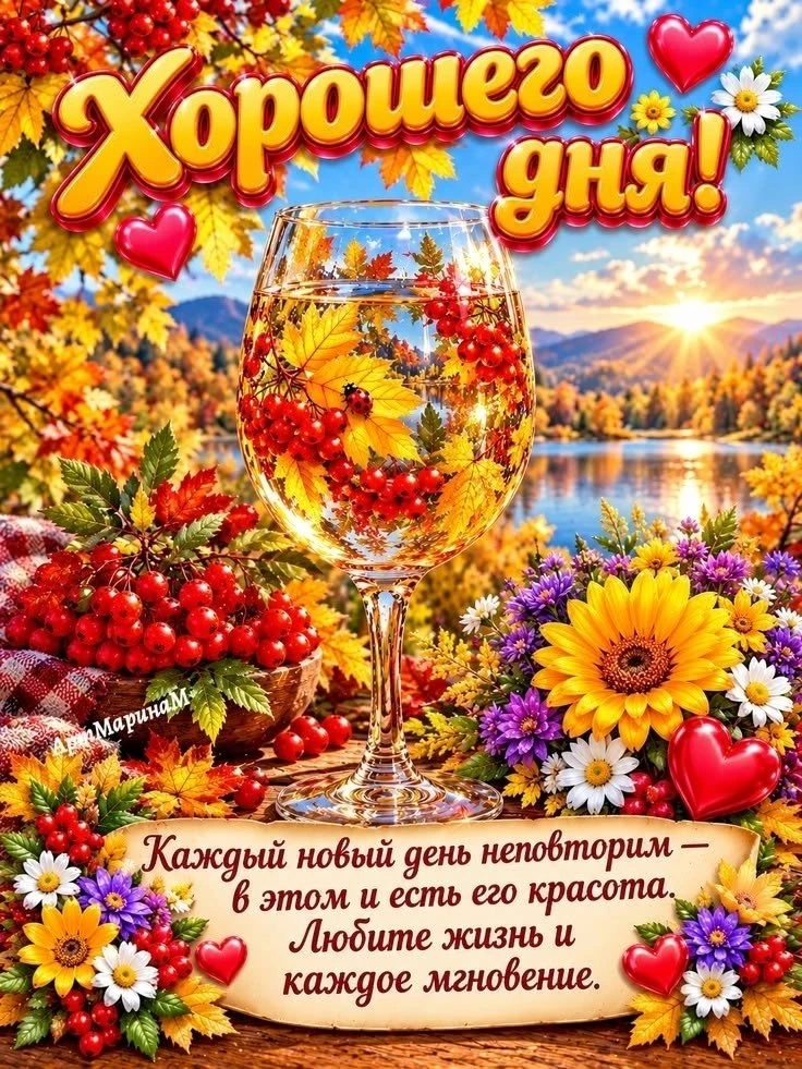 ☀️ #добрый_день