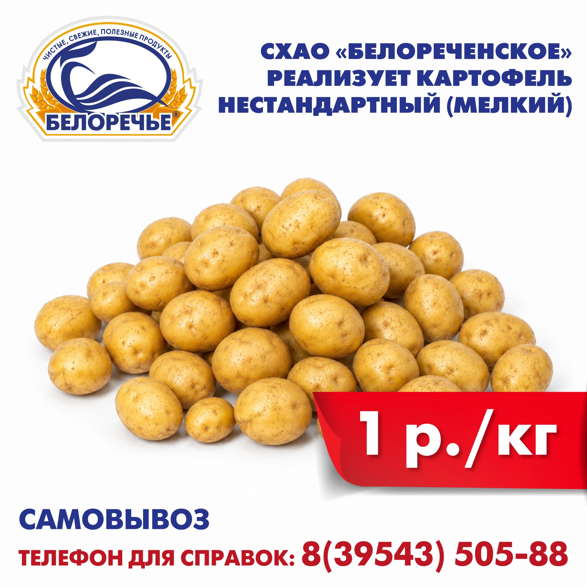 СХАО "Белореченское" реализует картофель нестандартный (мелкий).