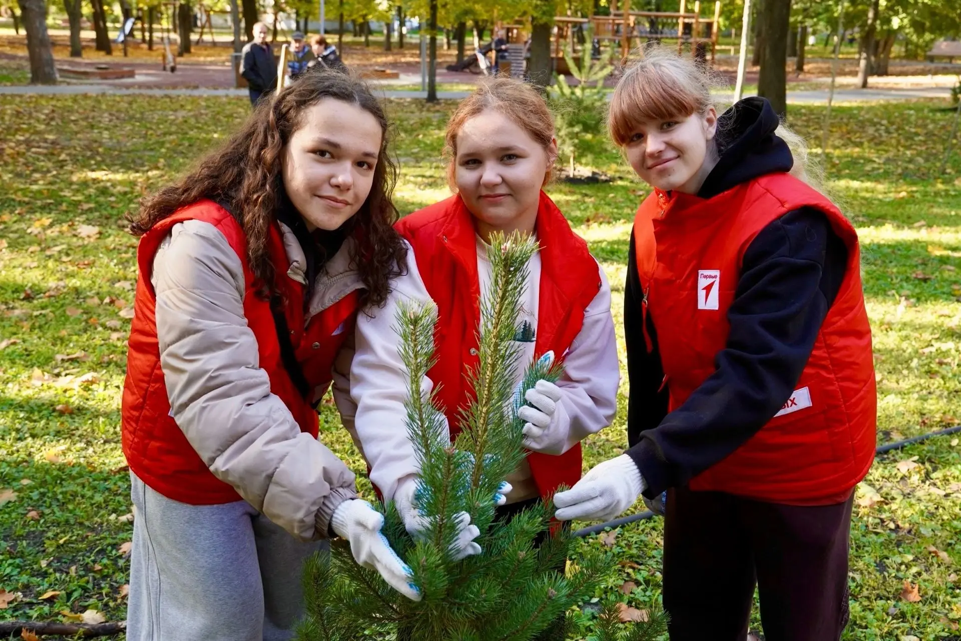 🌿 В Тамбове проходит осенний месячник по благоустройству.