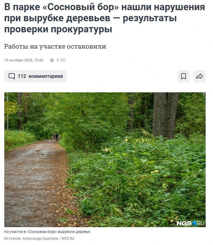 Статья от НГС