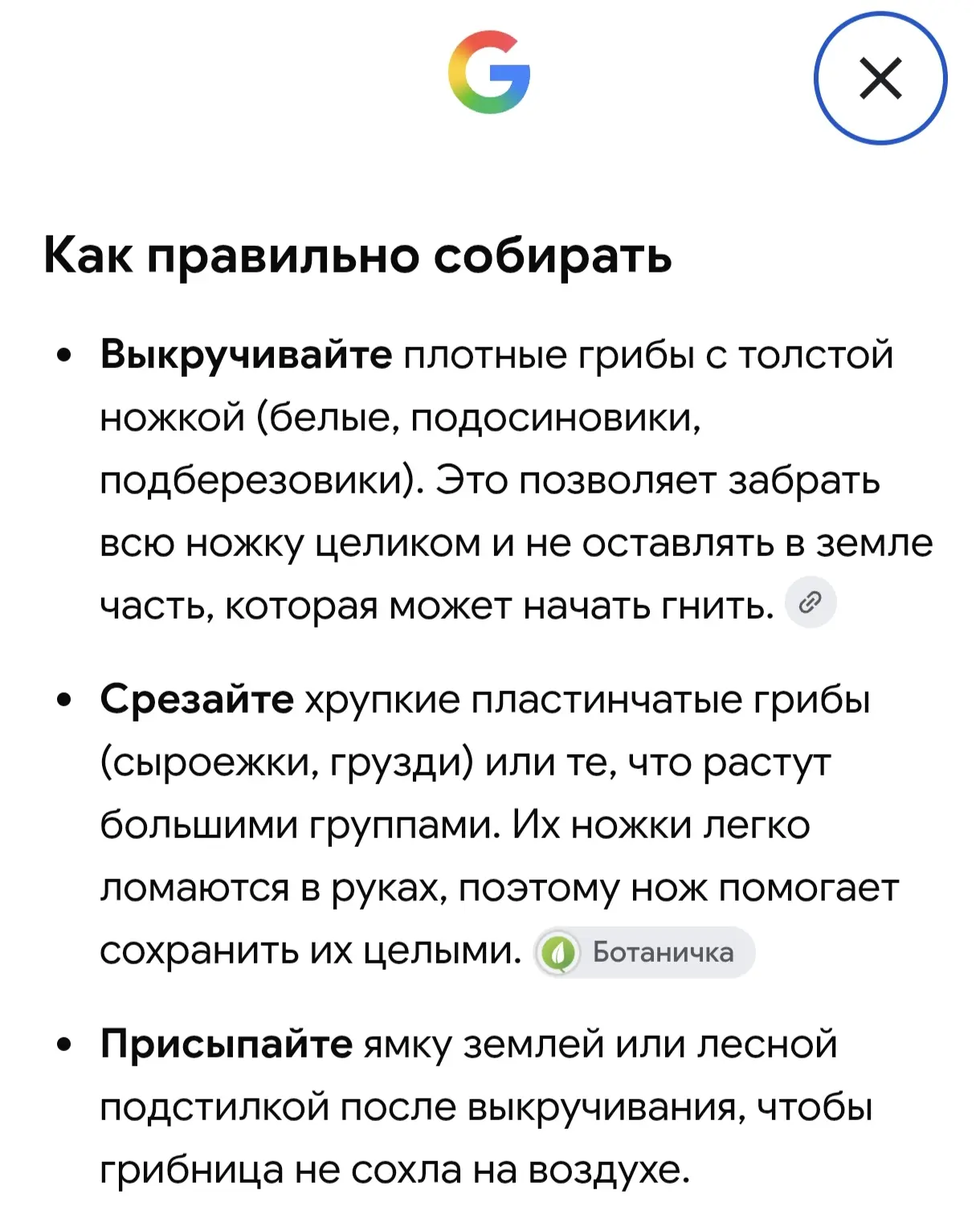 Вчера внутренний голос шептал: «Посмотри в окно, там дождь, сиди дома, пей чай». Но вну...