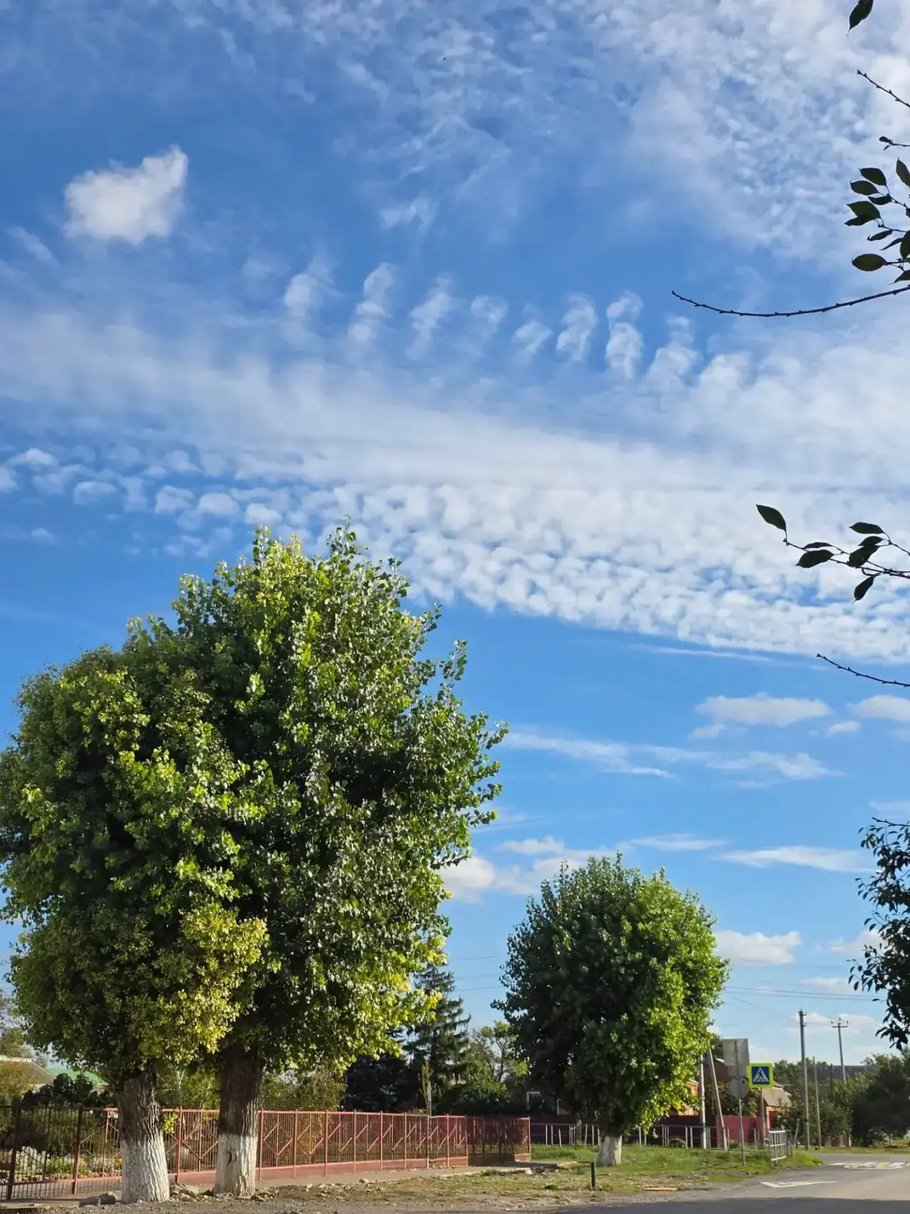 ☀️Доброе утро, друзья!