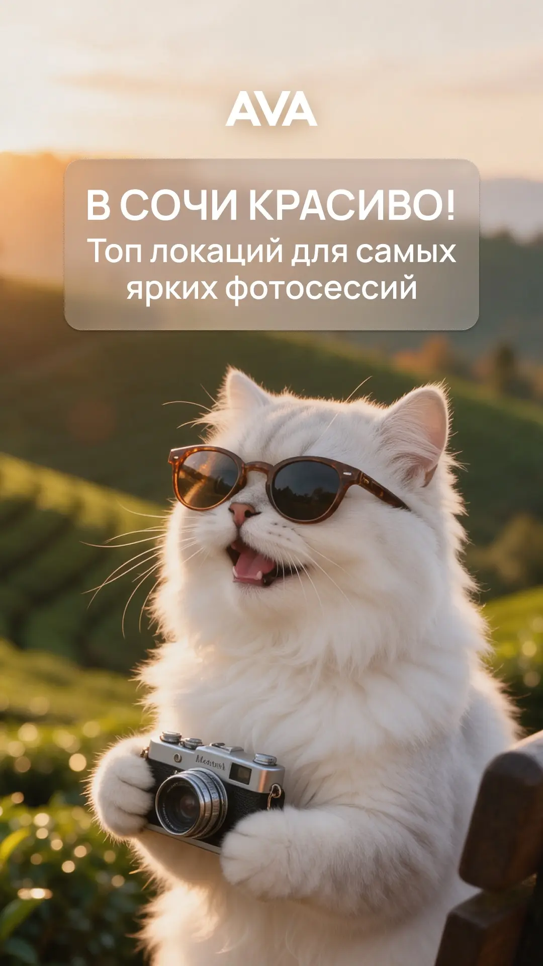 Фотогеничные локации Сочи (часть 1) 📸