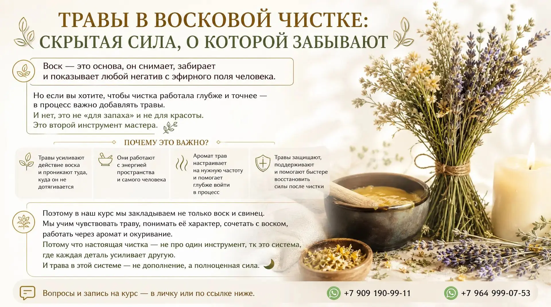 🌿 ТРАВЫ В ВОСКОВОЙ ЧИСТКЕ: СКРЫТАЯ СИЛА, О КОТОРОЙ ЗАБЫВАЮТ