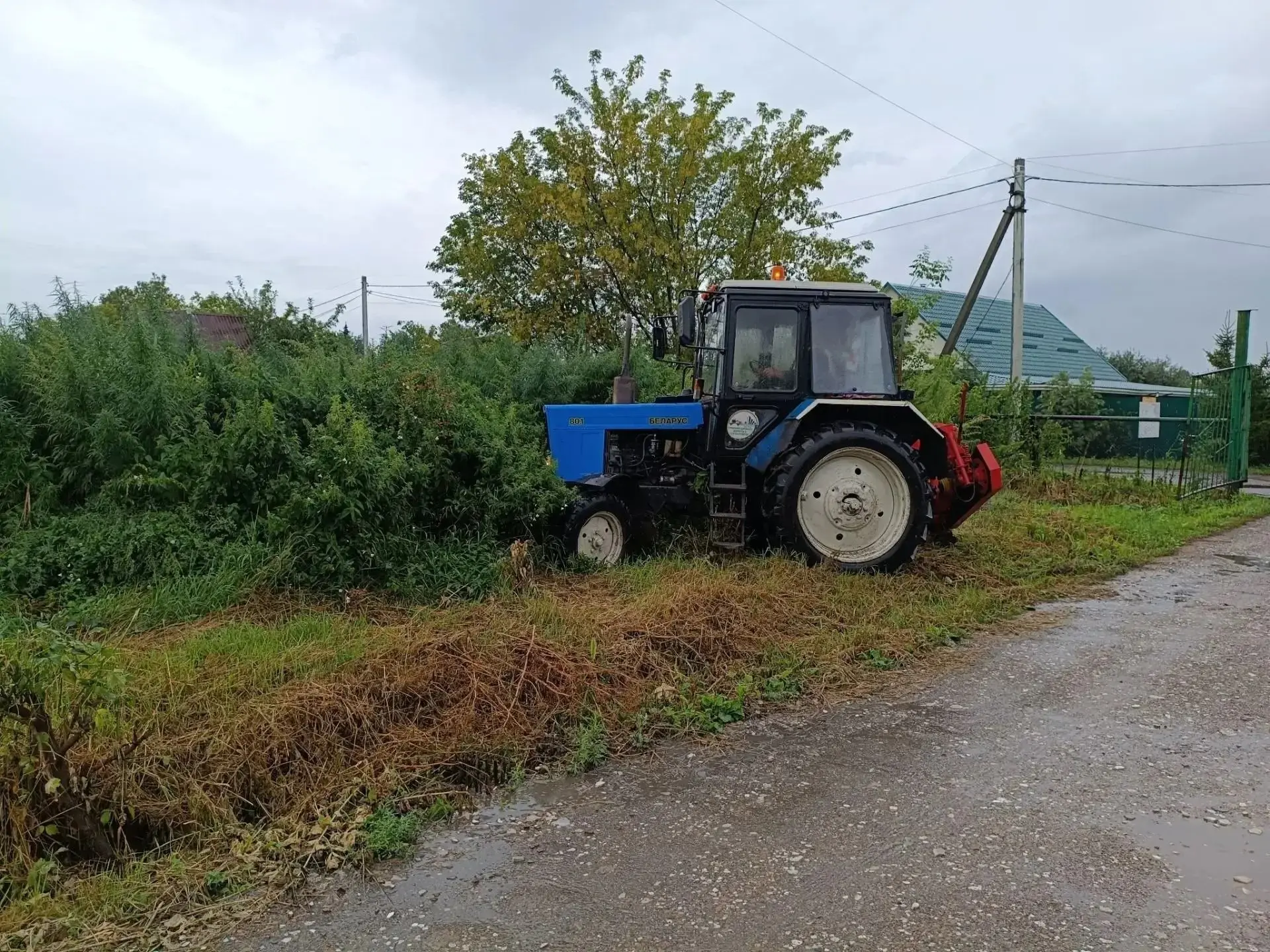 🌿В Омске во время рейда уничтожили крупный участок дикорастущей конопли.