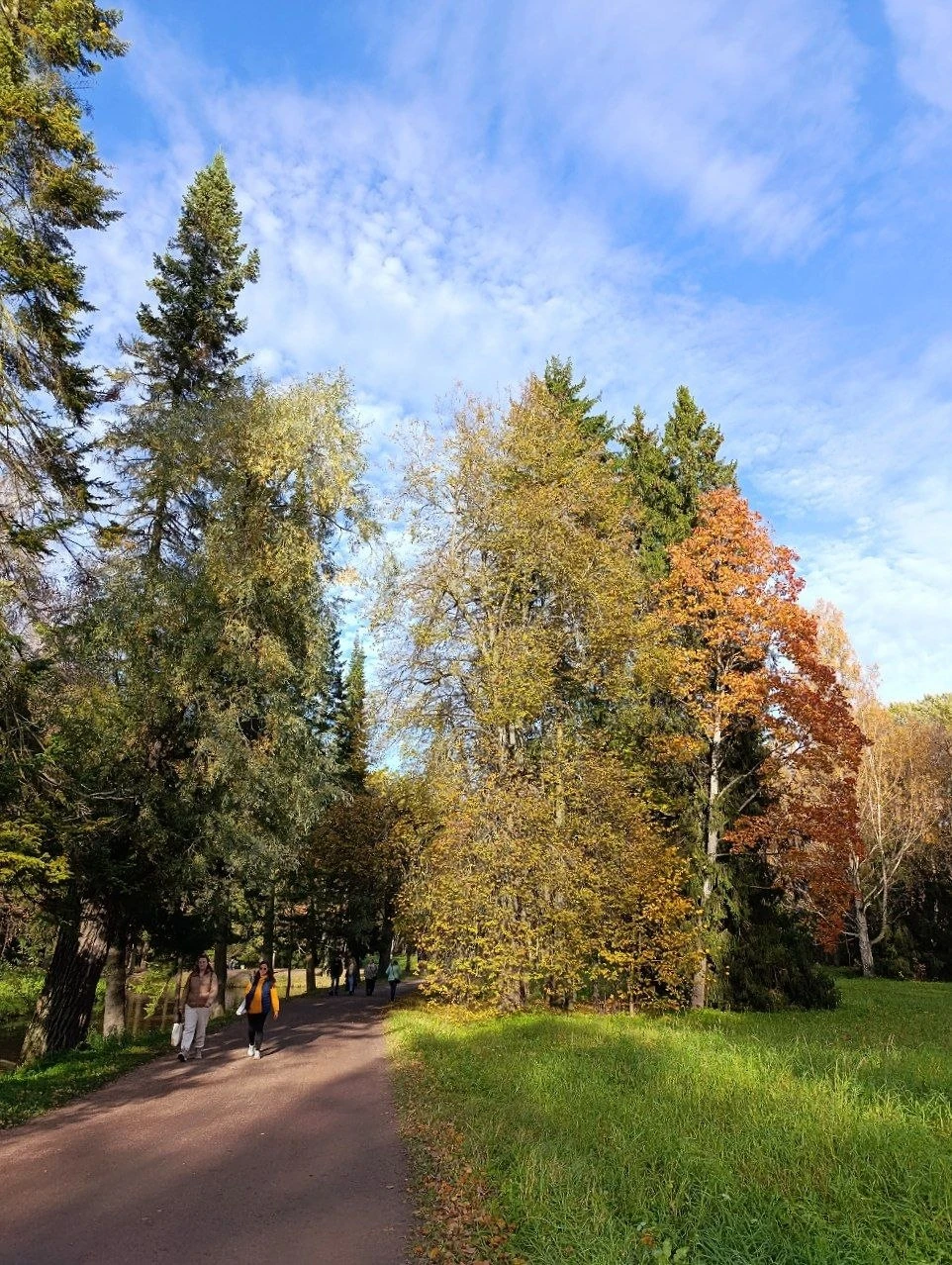 Красоты Павловского парка осенью.