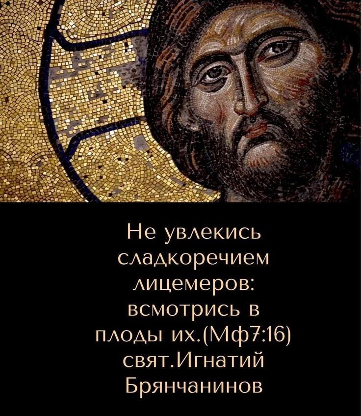 ❤💗🕊️🌹