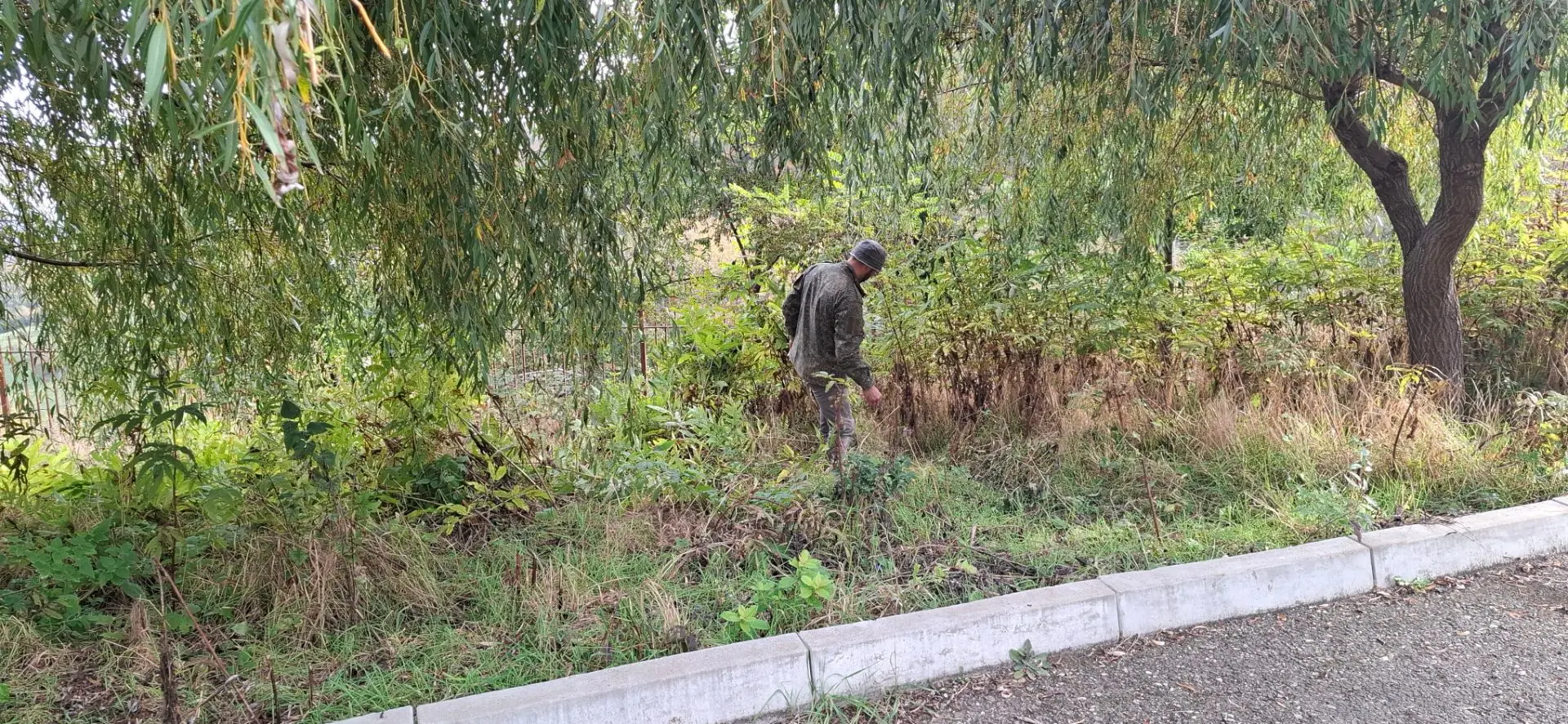 В рамках экологической акции сегодня в школе прошёл общешкольный субботник.