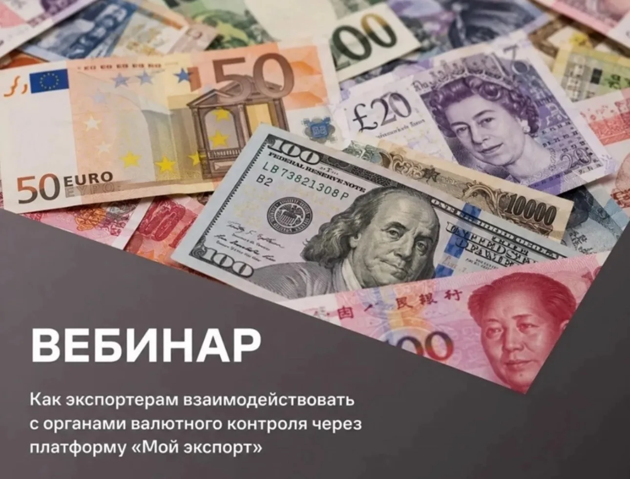 🎓 ОБРАЗОВАНИЕ
