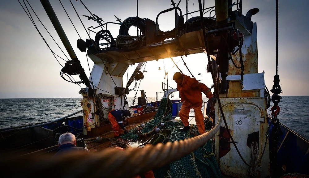 🐟 Бизнес просит отсрочить обязательную видеофиксацию на промысловых судах