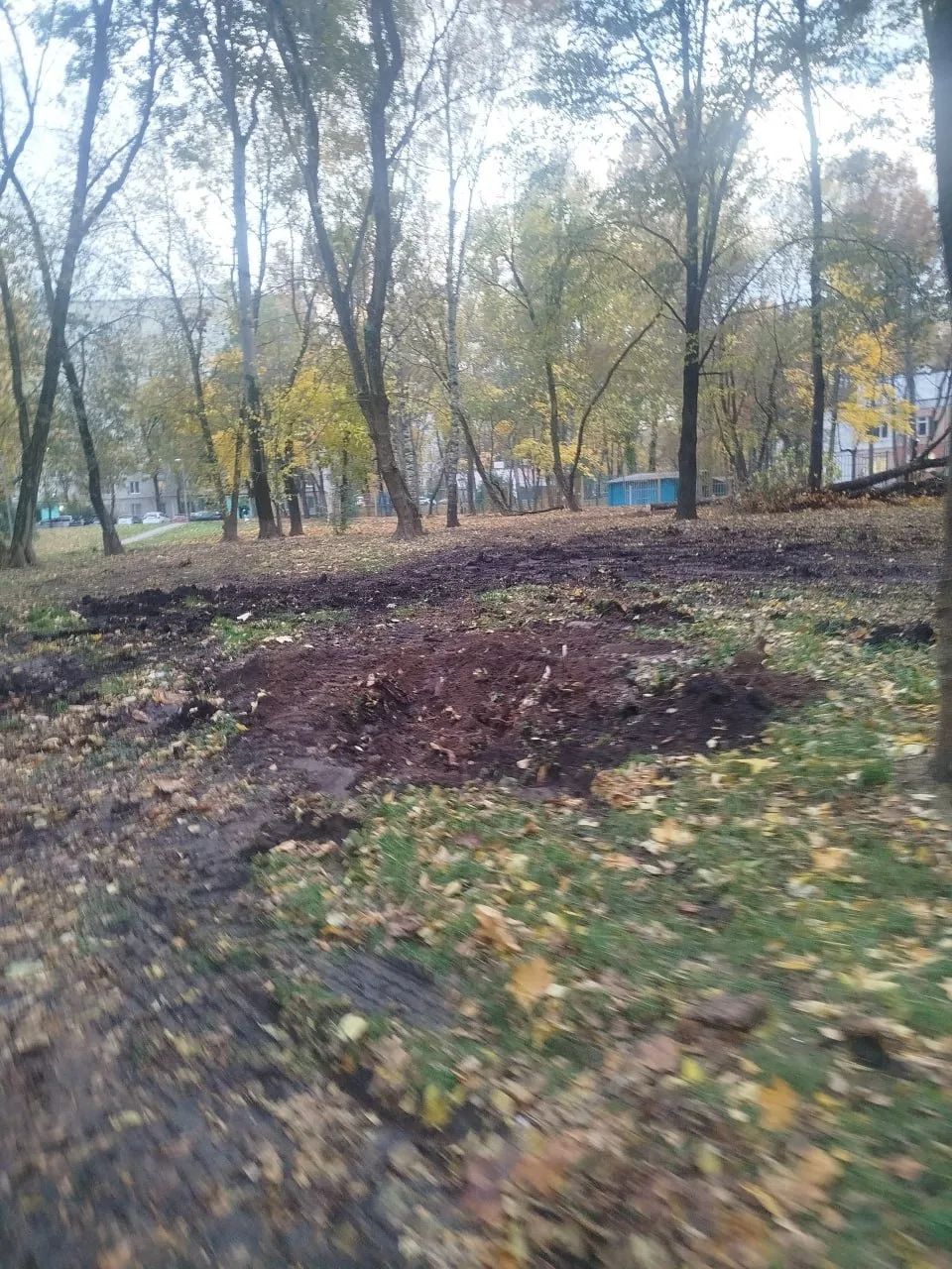В Кировоградском проезде, 3а, около школы раскурочили всю поляну. Здесь пилили деревья,...