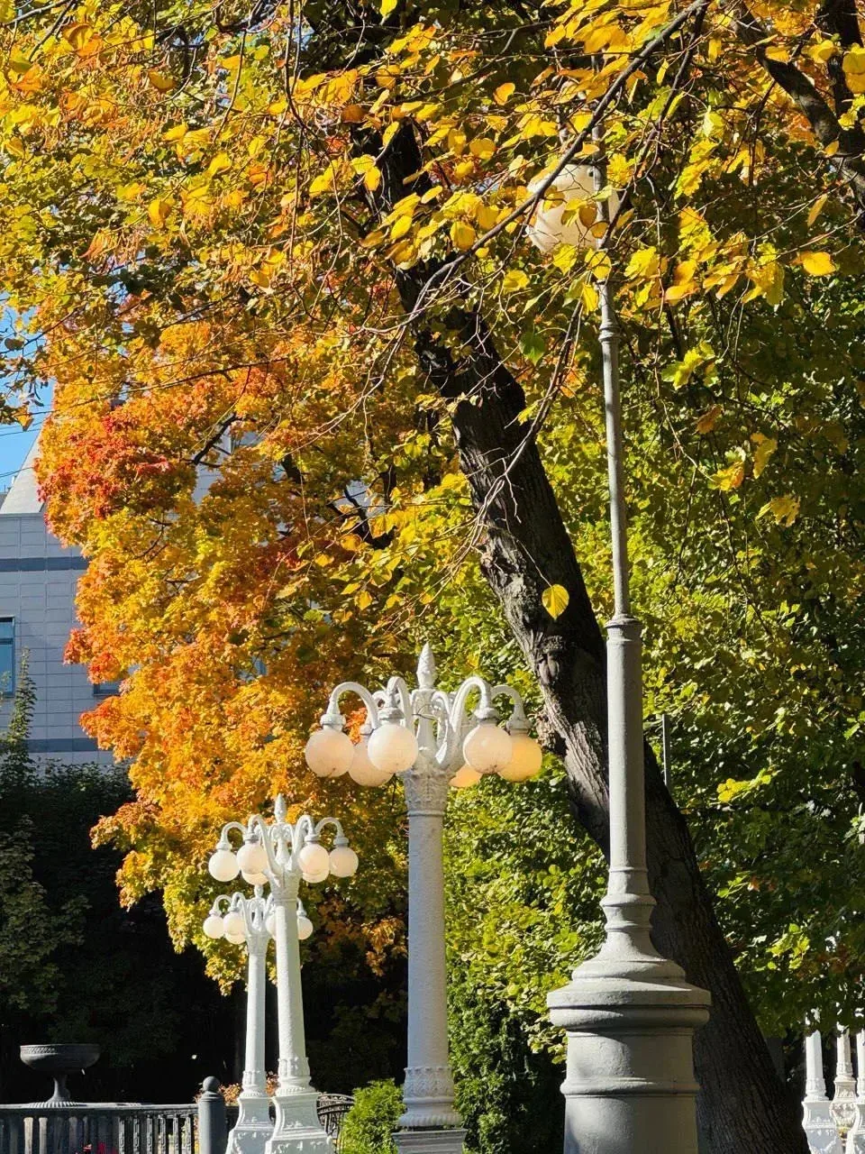 Осенний дождь из листьев в саду «Эрмитаж» 🍁
