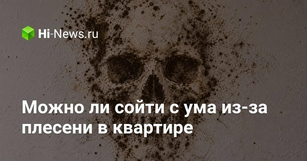 Может ли плесень в квартире довести нас до безумия и чем она действительно опасна