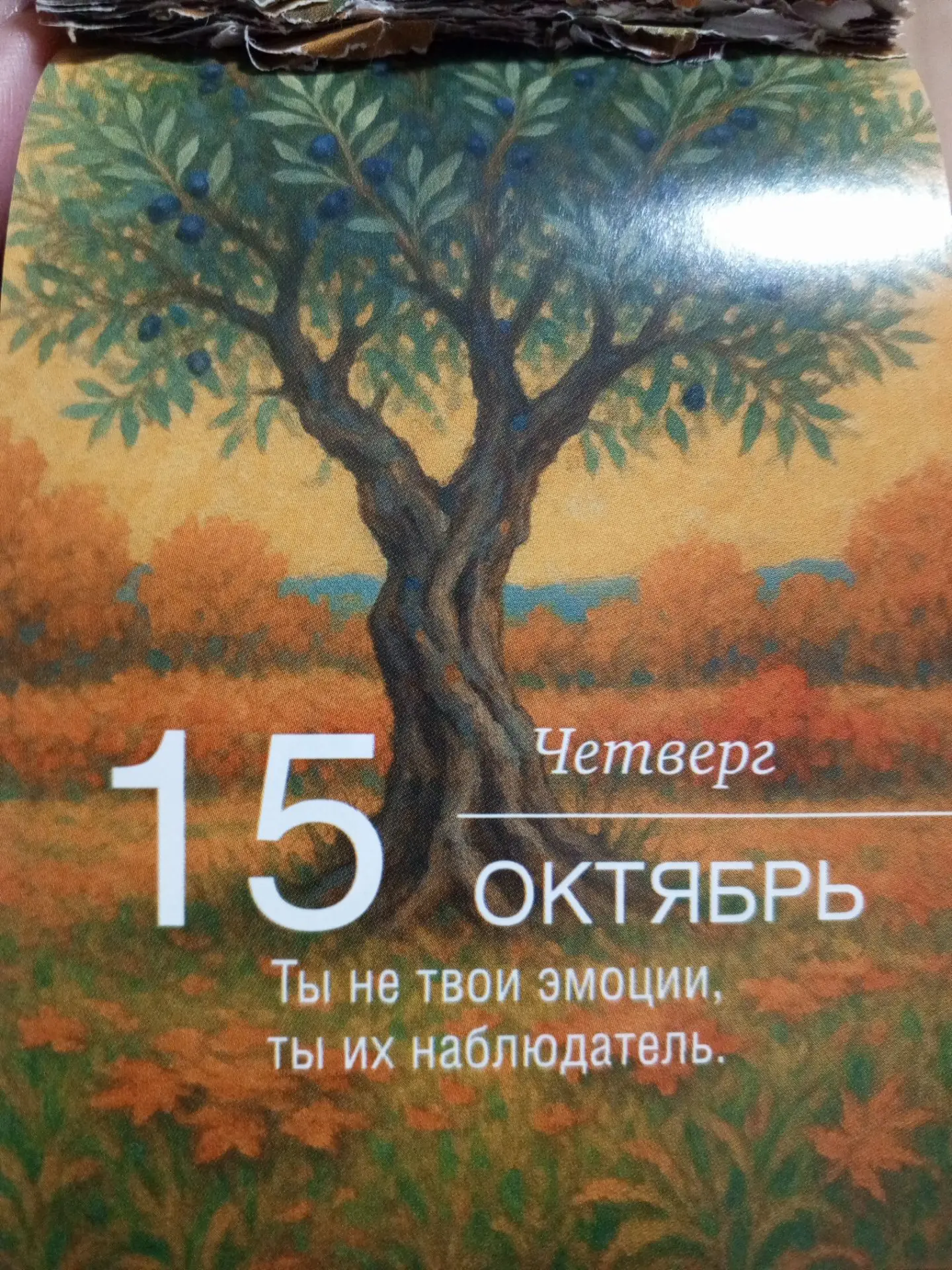 Ты — это не твои эмоции. Ты — тот, кто за ними наблюдает.