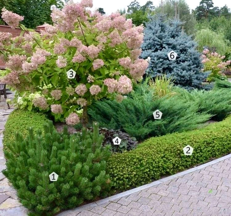Яркий, стильный миксбордер🌲