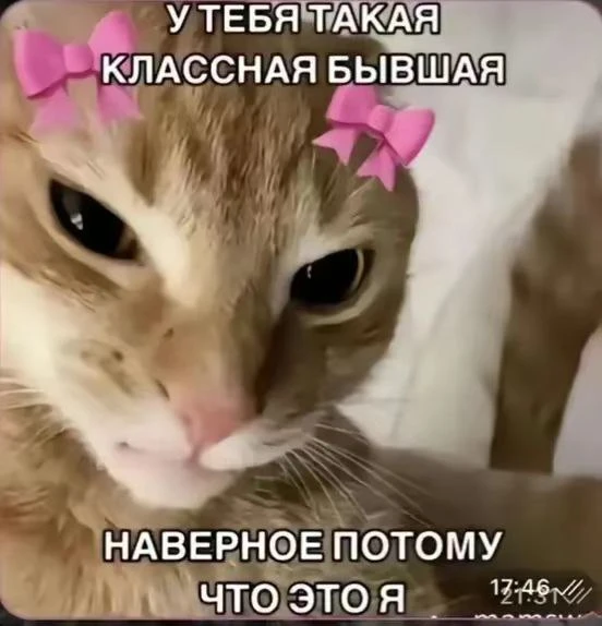 Все наши каналы