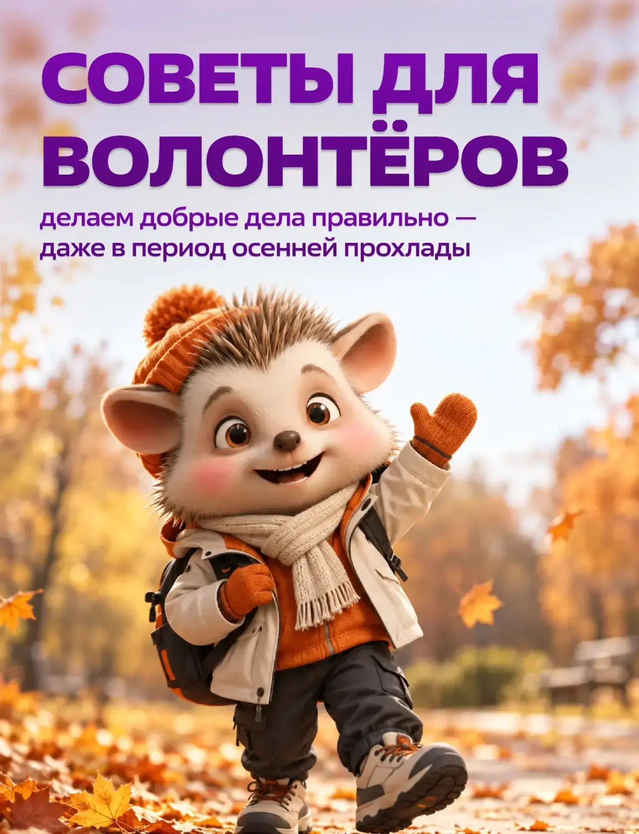 Дождь, ветер, первые заморозки и кажется, что помогать становится сложнее...