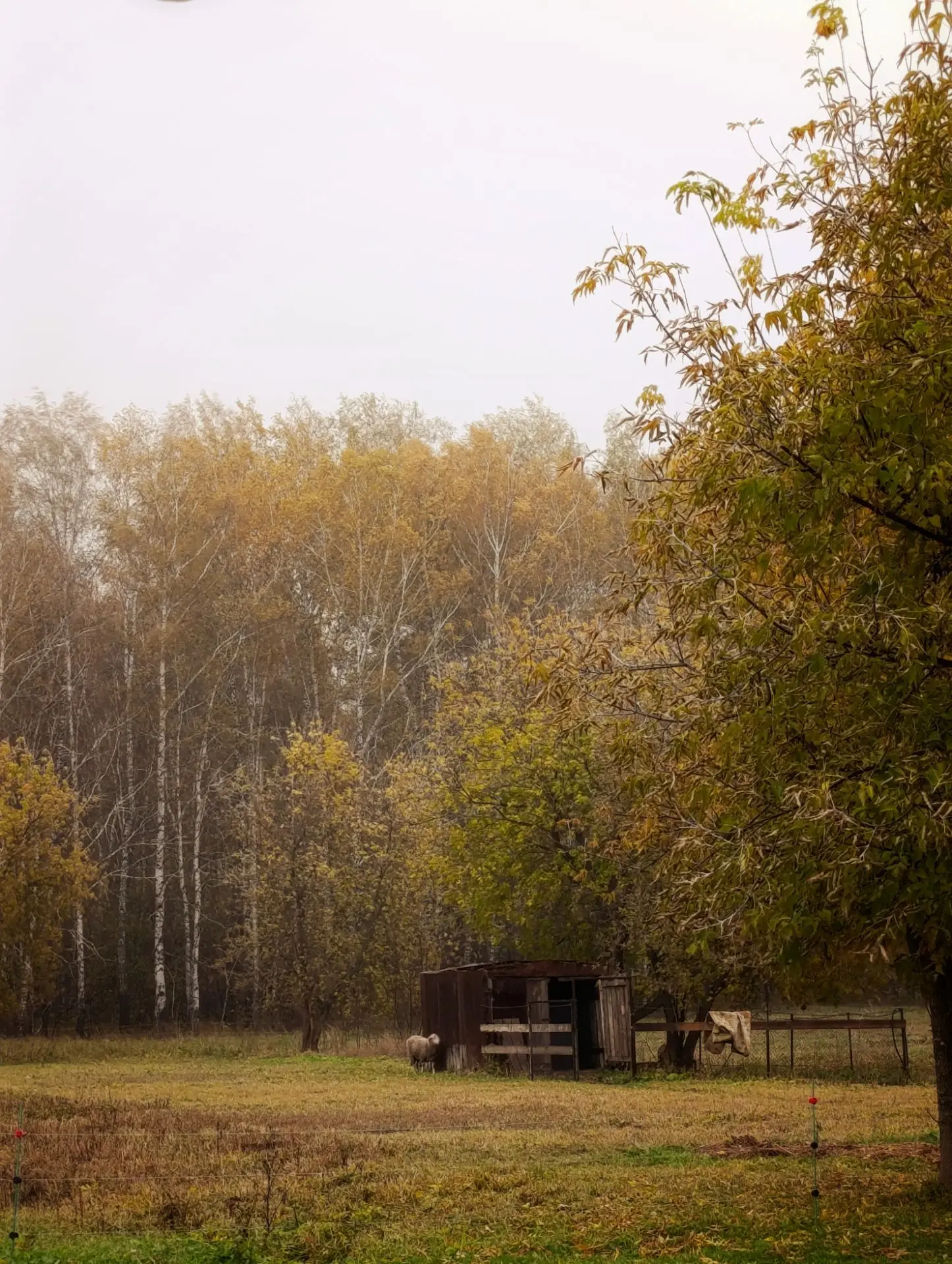 Октябрь🍂Середина осени. Какой же он мрачный, холодный и одновременно красивый🍂 Есть с...