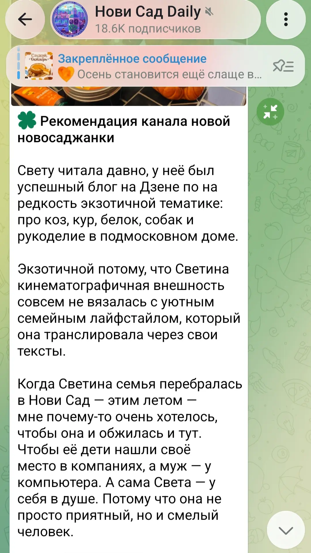 Вчера, пока под покровом вечера уплетала шарлотку, Татьяна рассказала о моем блоге на п...