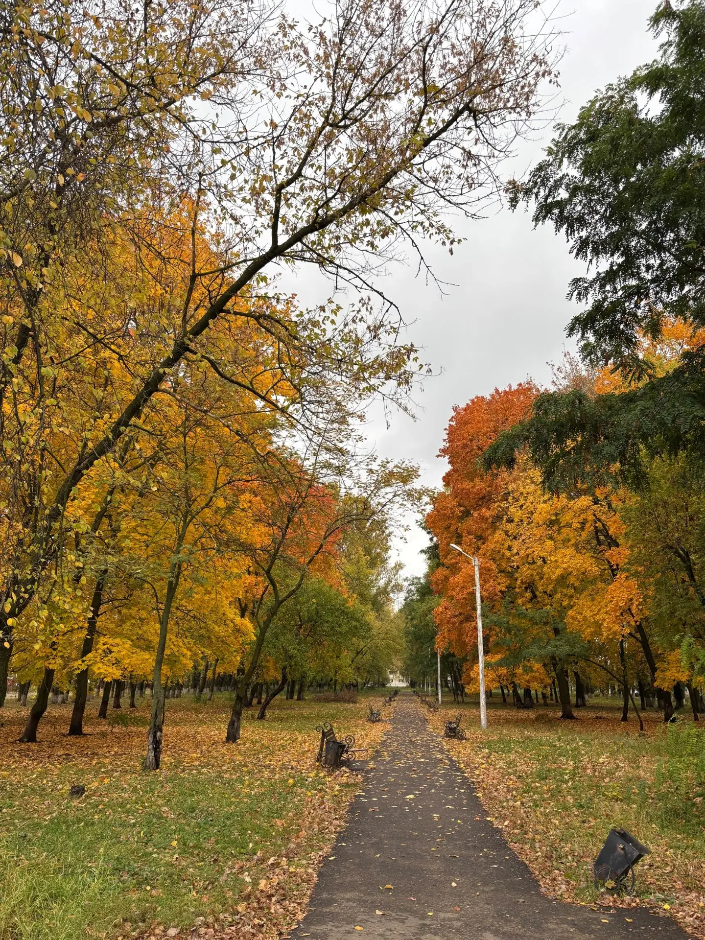 Всем доброго осеннего утра 🍁