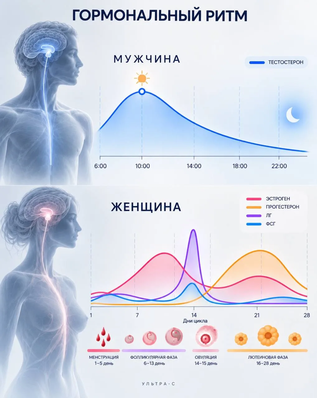 Как гормоны влияют на настроение мужчин и женщин.
