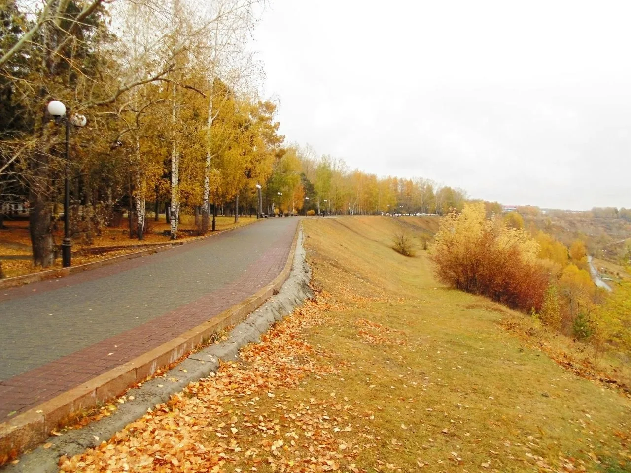 Золотая томская осень 🍁