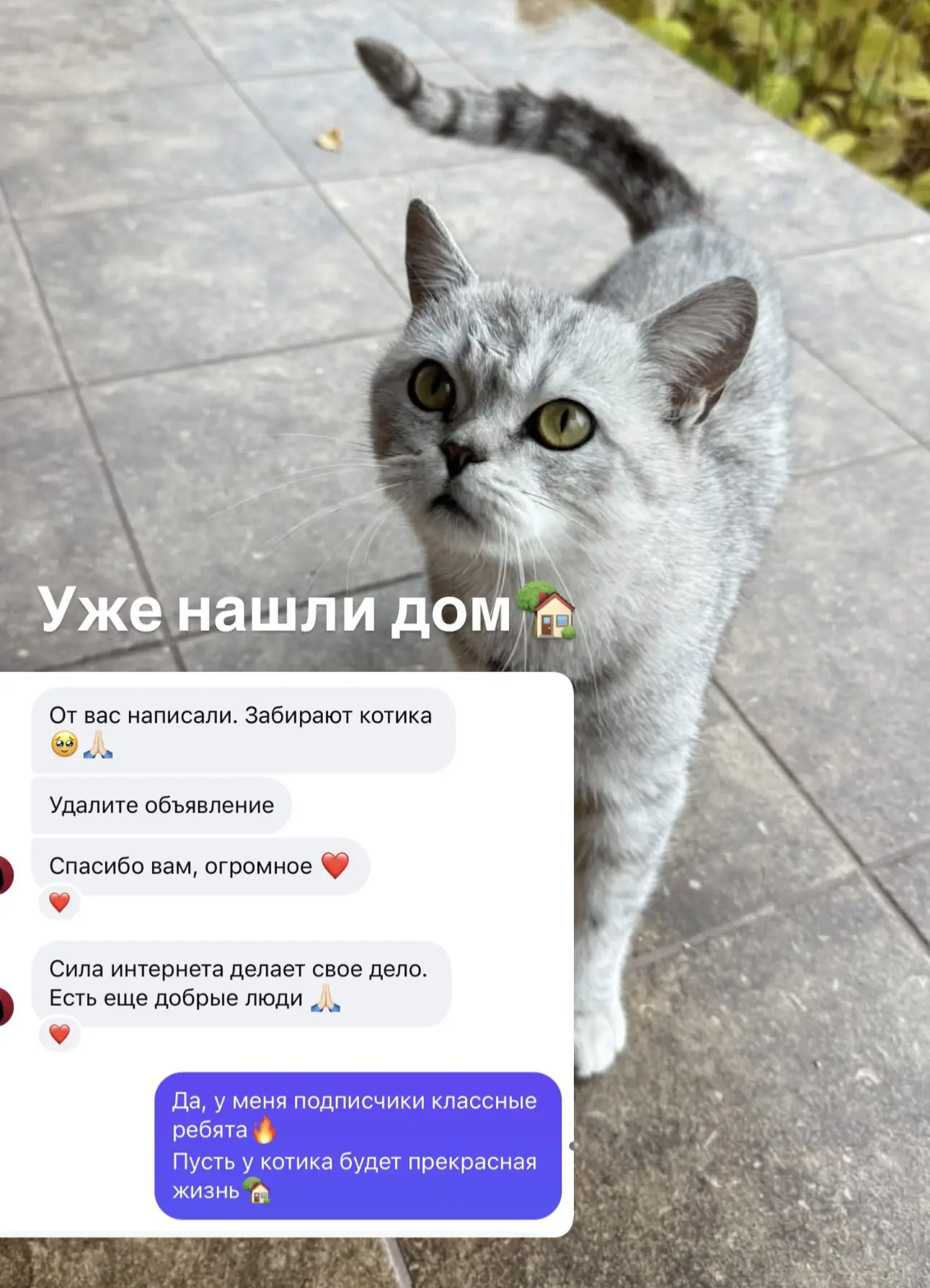 Ребятки, вы у меня самые лучшие! ❤️