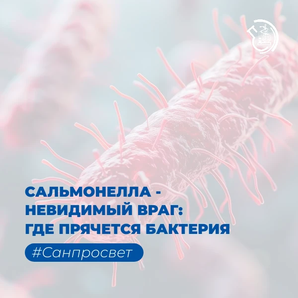 #Санпросвет Сальмонелла - невидимый враг: где прячется бактерия