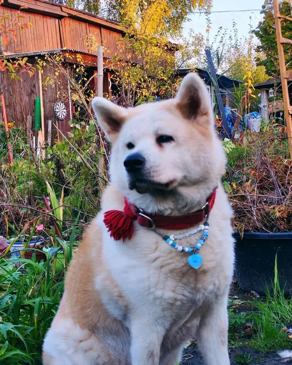 Има и Кузя 🥰