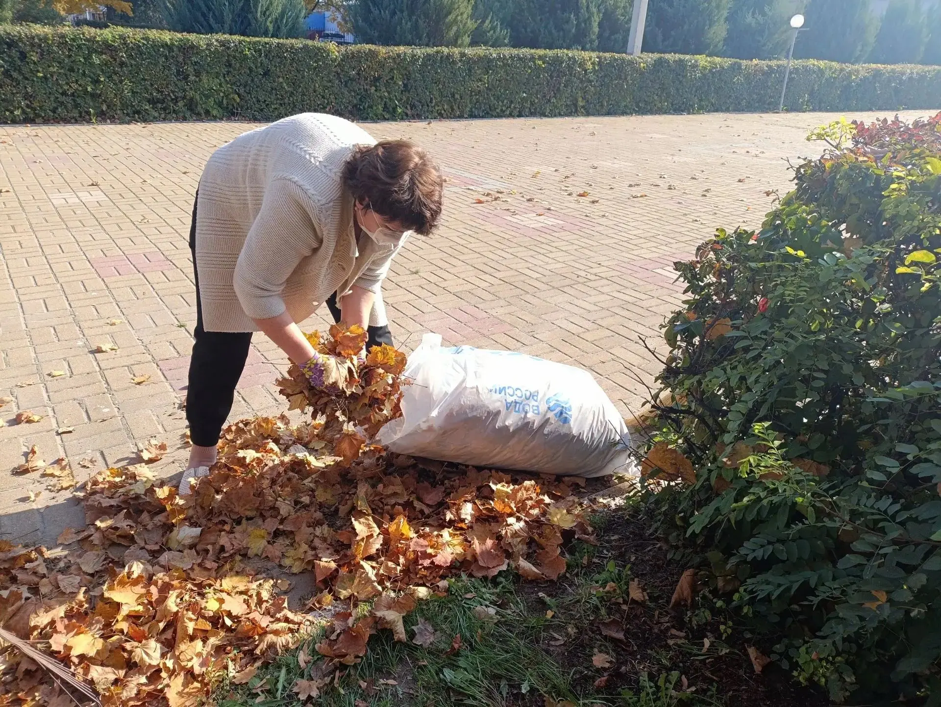ОСЕННИЙ СУББОТНИК