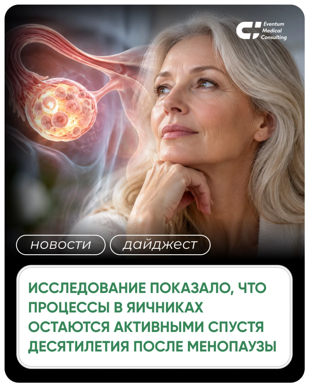 #новости #дайджест