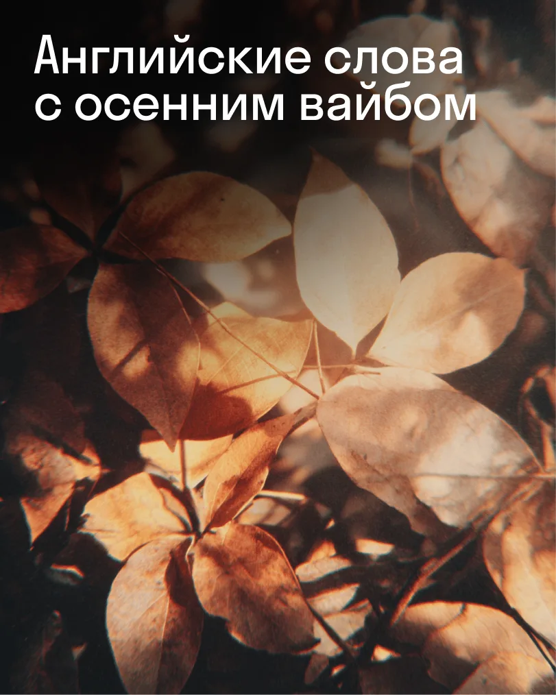 Самые красивые английские слова с осенним вайбом 🍁🍂🍁 Сохраняйте и ставьте лайк.