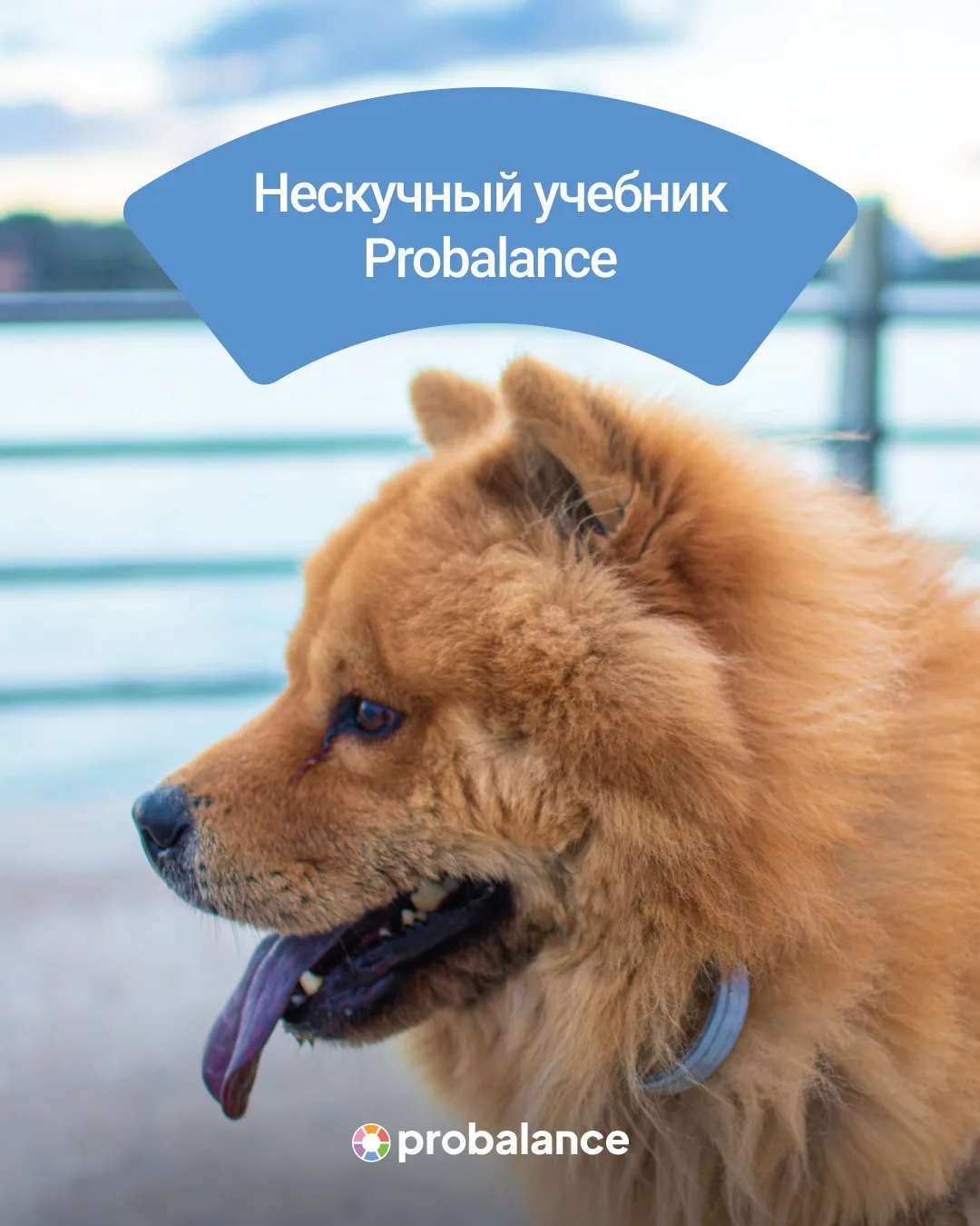 Нескучный учебник Probalance!