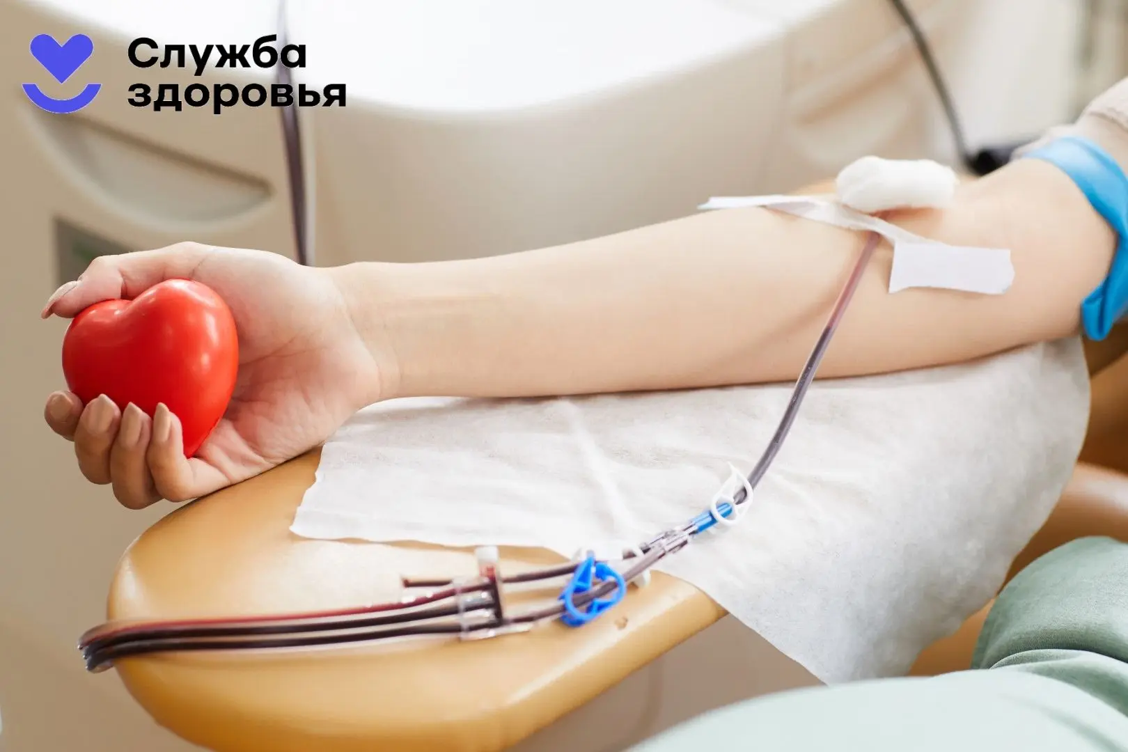🩸День донора в Областной больнице №11 р.п. Голышманово