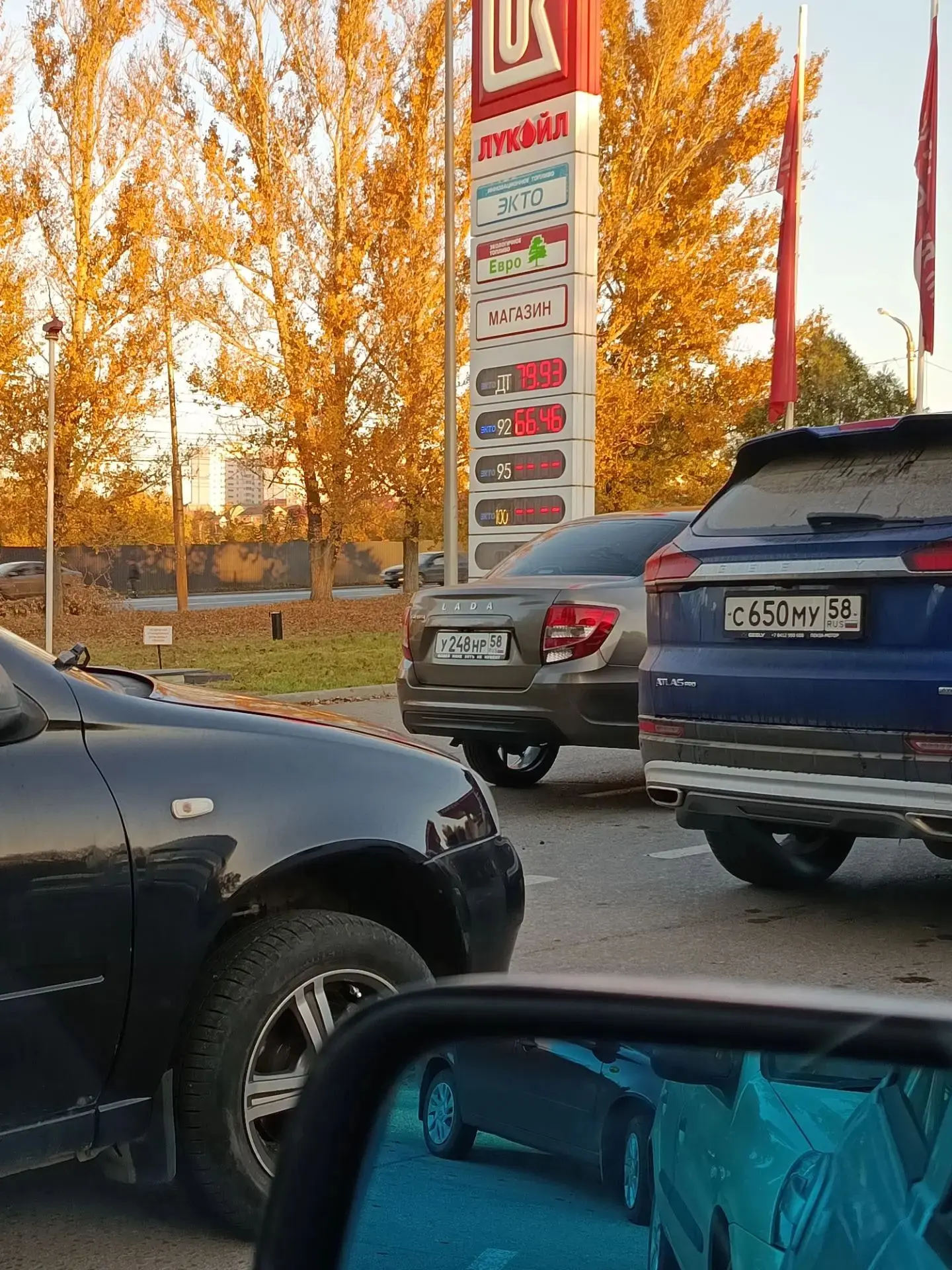 Аустрина. 95 нет