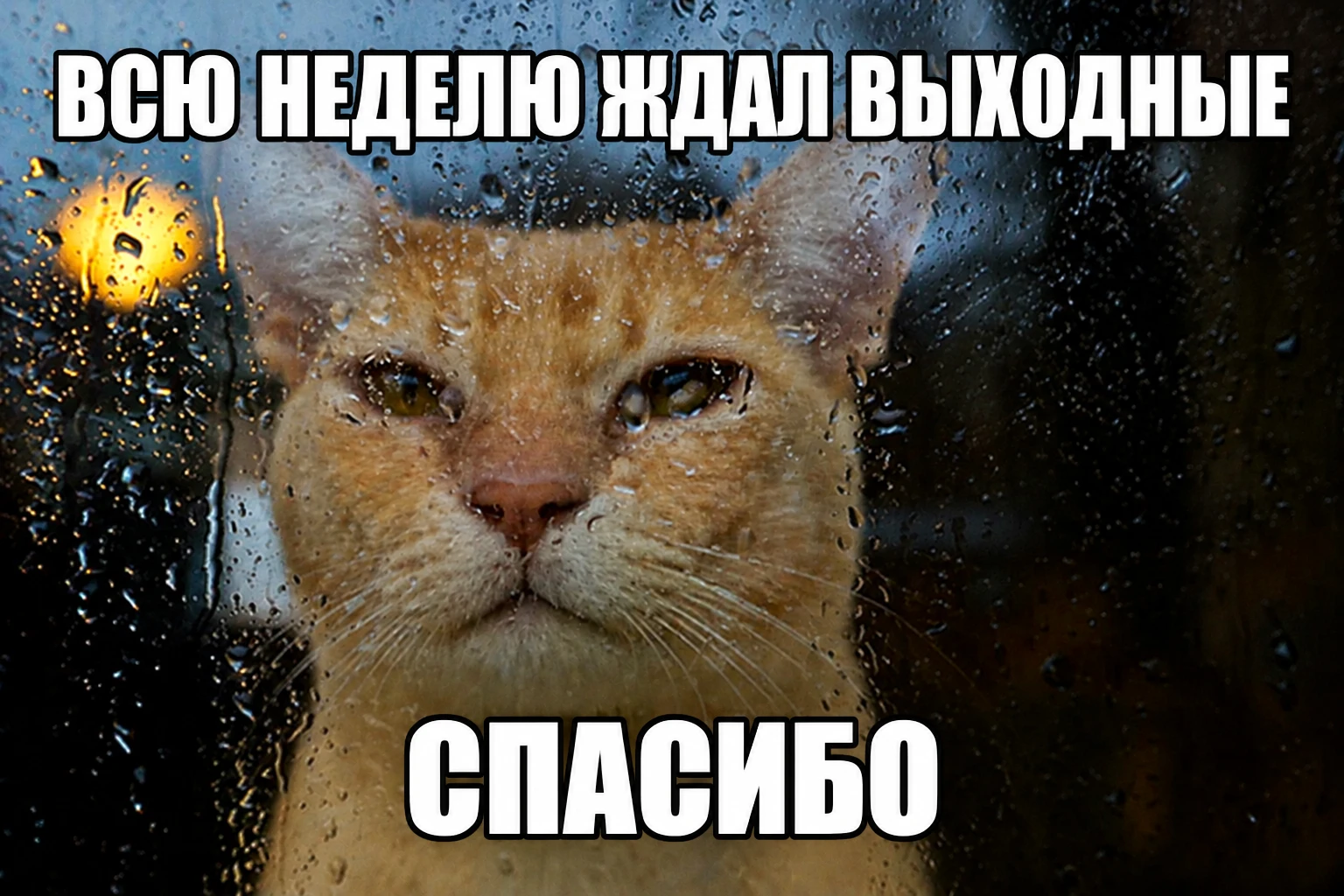 🥹 Не хотим вас расстраивать, но впереди три дня непогоды