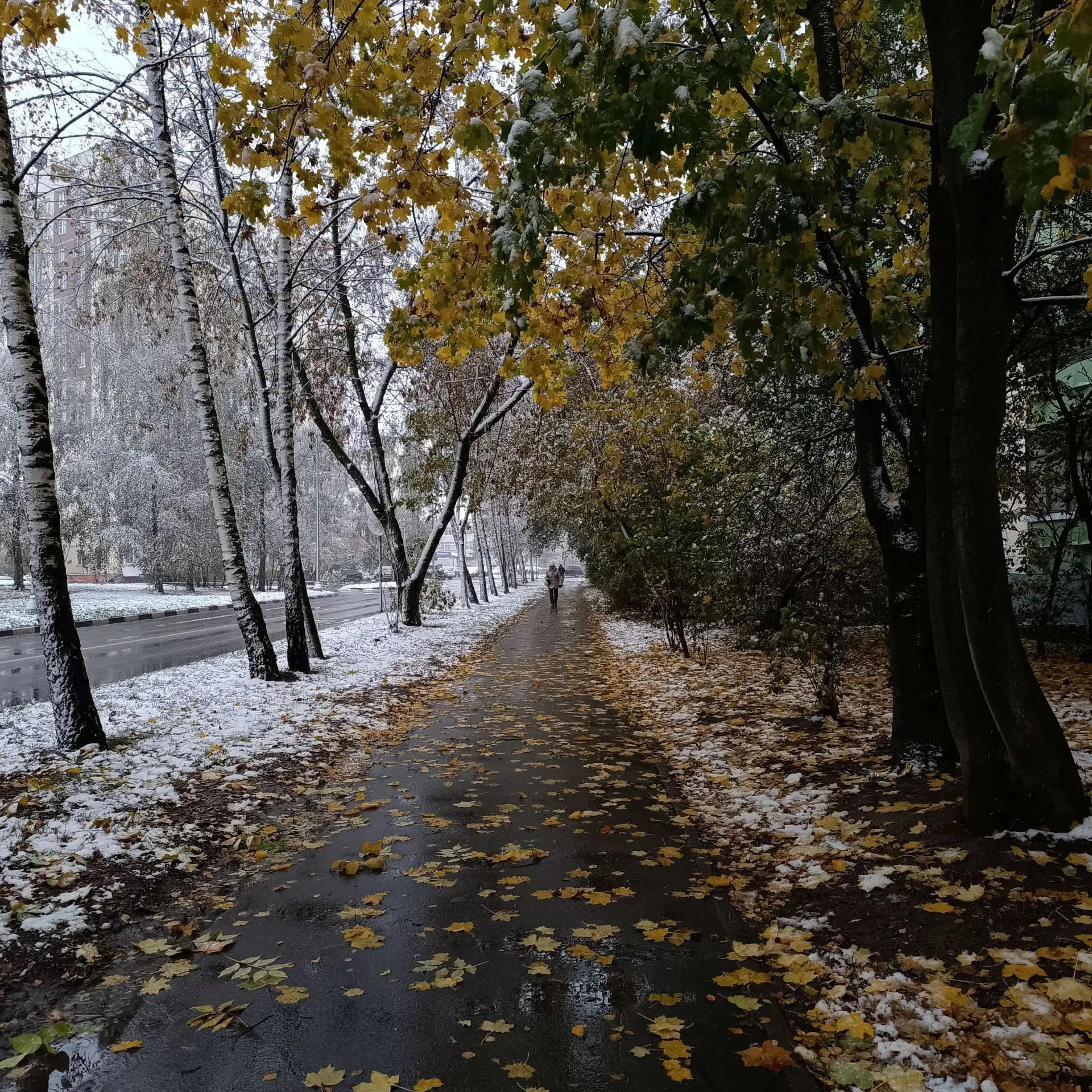 Понедельник станет одним из последних относительно теплых дней (+6…+8°C днем) перед зат...