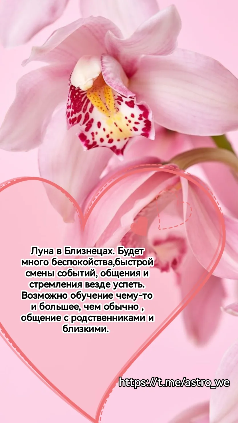 Думаю, я вас "перекормила". Итак, у тех, кого день рождения вчера, сегодня,завтра. Вене...