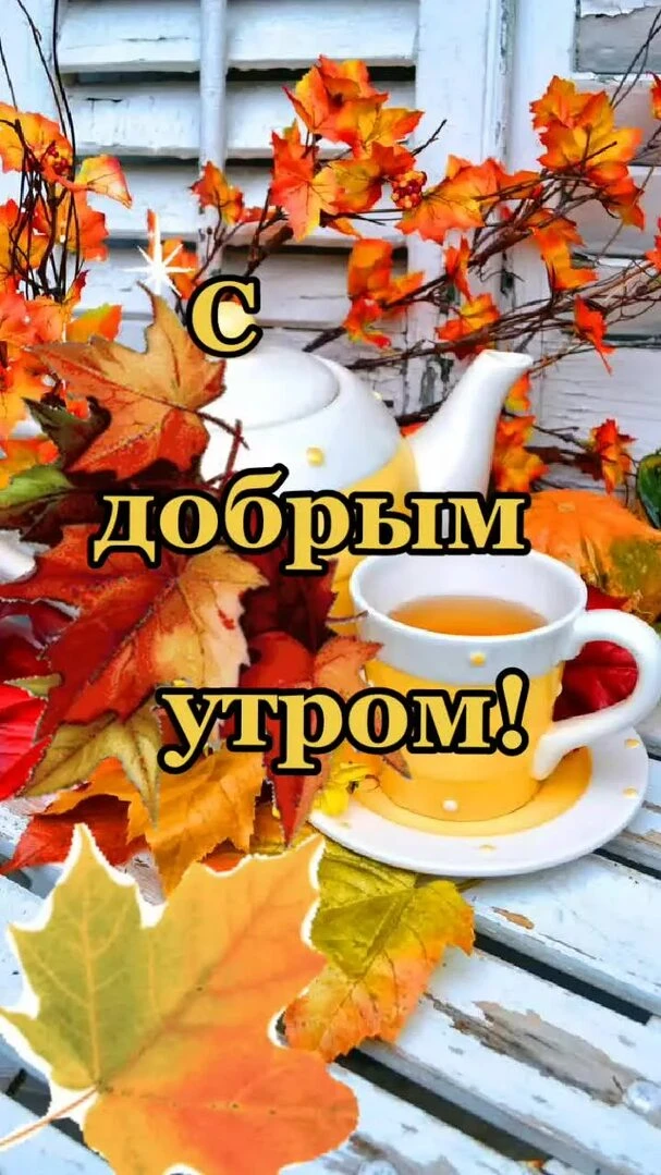 Доброе утро! Просыпаемся, улыбаемся, встречаем новый день! Пусть он будет мирным, споко...