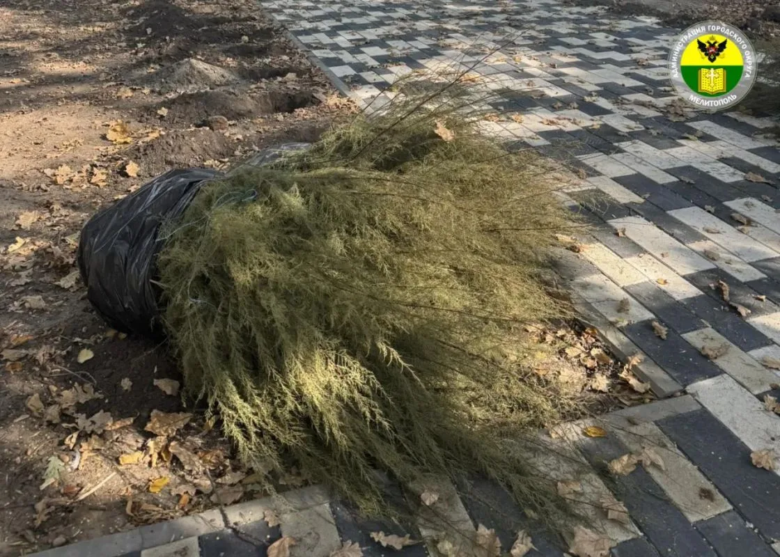 👏 В Мелитополе оживили Парк участников СВО — в рамках акции «Сохраним лес» там высадил...