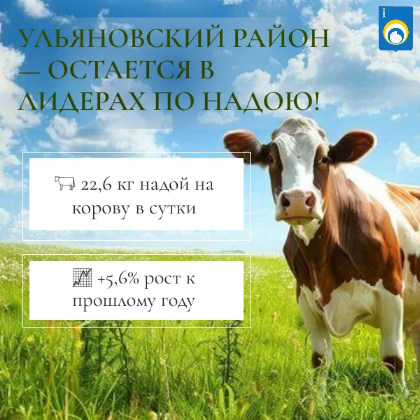 Ульяновский район сохраняет лидерские позиции в производстве молока