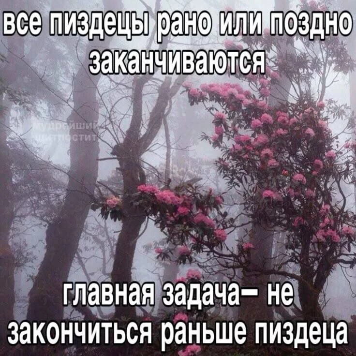Добрых снов 😘