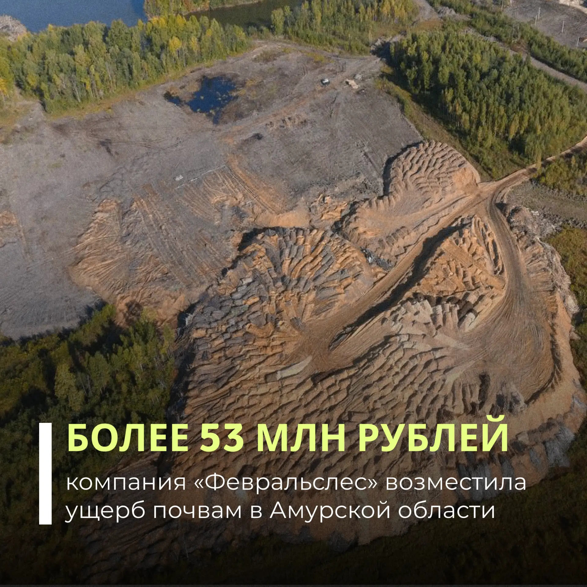 Организация «Февральслес» заплатила более 53 млн рублей за ущерб почвам в Амурской области