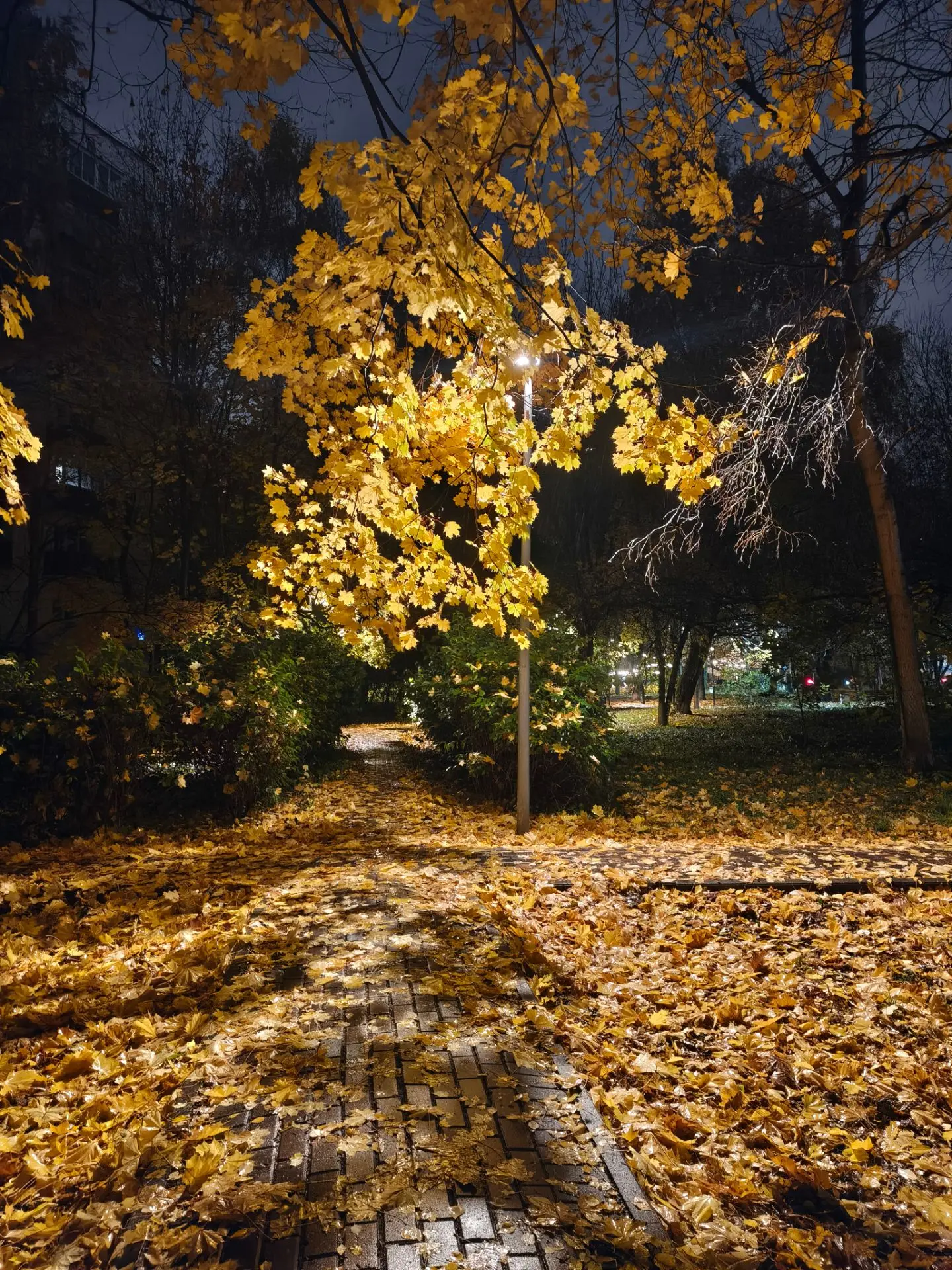 Считается, что осень 🍁 депрессивная пора... С одной стороны приходят холод и дожди и в...
