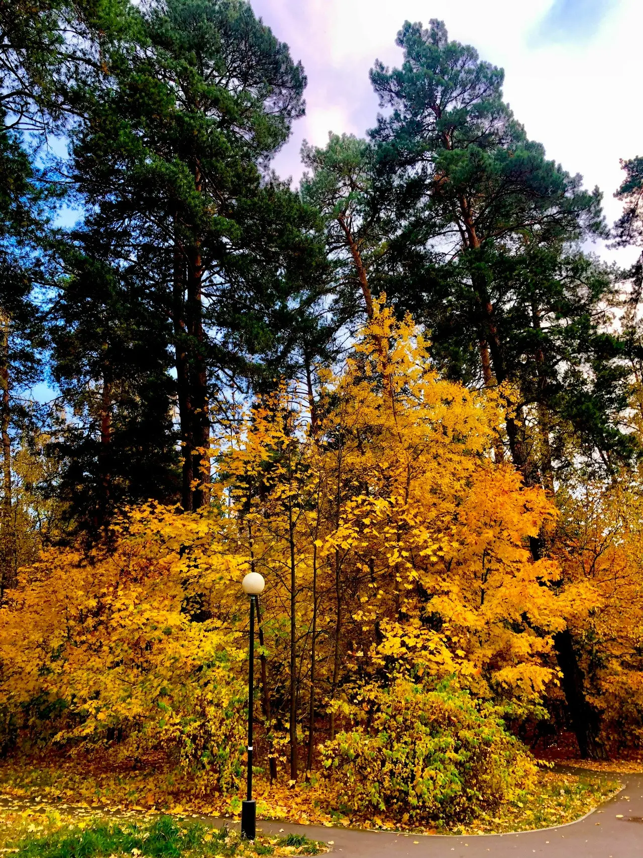 Осень в городе 🍁🍁🍁