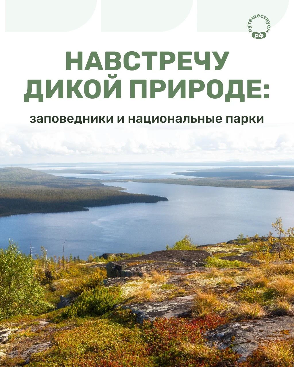 Где природа и ее обитатели в безопасности? Такие места называют заповедными территориям...