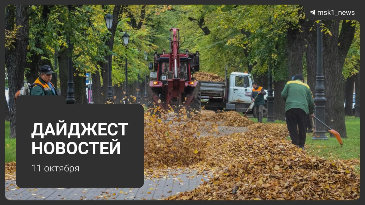 Дайджест новостей: главное за 11 октября