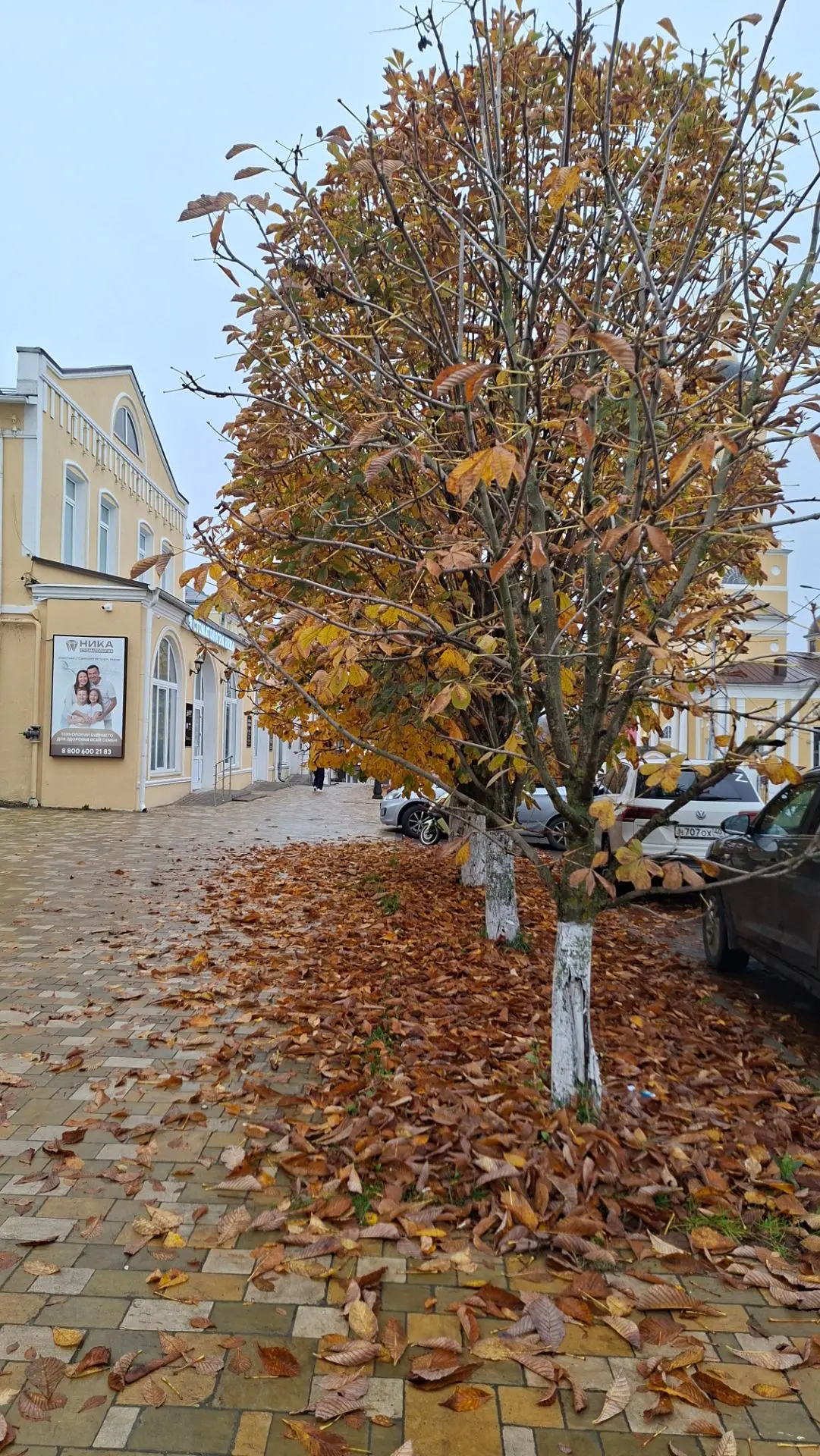 Доброе утро!